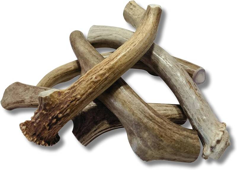 Deer Antlers